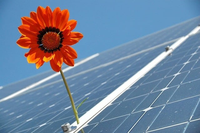 Nettoyage de panneaux photovoltaïques et solaires